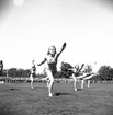 Medborgarfest. Gymnastikuppvisning