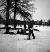 Officerarnas orienteringstävling. Februari 1939. Reportage för Gefle Posten