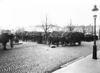 Stortorget