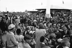 Konsum Alfa. Festen i Folkparken, den 25 Augusti 1943.