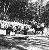 Cirkus Scotts föreställning vid lasarettet. Juni 1943