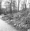 Blommor i Stadsträdgården. April 1944