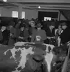 Slakthuset, Valbo. Demonstration. November 1945