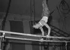 Finska Gymnaster. Reportage för Arbetarbladet. November 1945