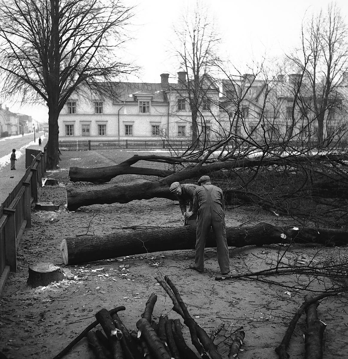 Nya Gymnastikhuset. Norra Skolan. November 1945





