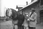 Görel Söderhjelm tillsammans med flicka och två hästar. Tolvfors. Maj 1946