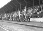 Svenska Flaggans Dag. 6 Juni 1941