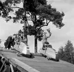 KFUM:s Pojkracertävling. September 1944. Vet ej vilket foto i serien som texten tillhör: Bo Strömberg, Sandviken: Mannen överst till höger är Bert Strömberg f 1917 död 1983. Denna lådbil fanns till mitten av 50-talet på 4:e Tvärgatan och användes av oss barn som leksak