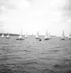 Seglingar. År 1936