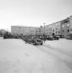 Den 21 januari 1957. Bilder för bok.