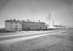 Januari 1956. Parkvägen vid Kristinaplan