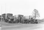 Den 28 oktober 1956. Bil & Buss. Lastbilar med bräder framför Travbanan.