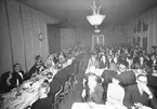 Den 20 februari 1955. Durotapet. Jubileum