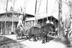 Den 15 maj 1950. Furuviksbarnen utanför Cirkusbyggnaden