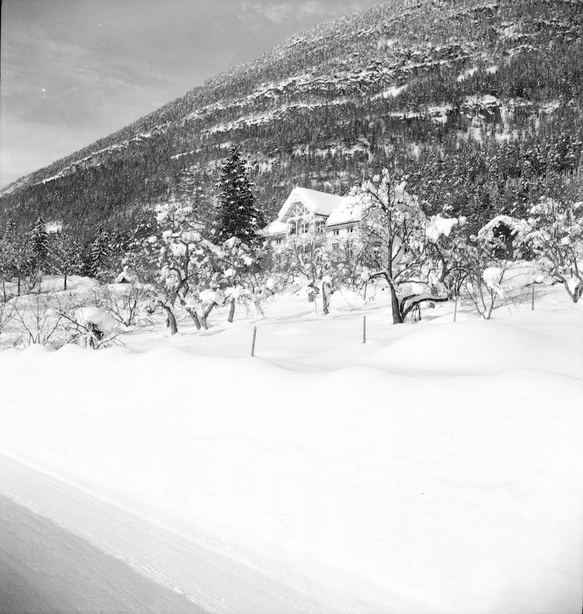 Hus i vinterlandskap
