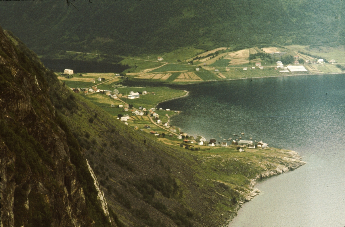 Kasfjord. I bakgrunnen Auna, med revefarm helt til høyre.