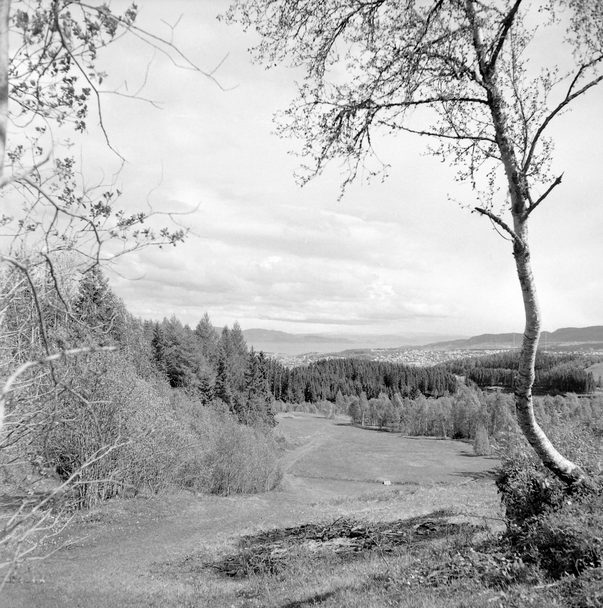 Golf på Sommersetra i Bymarka med Bill Spence