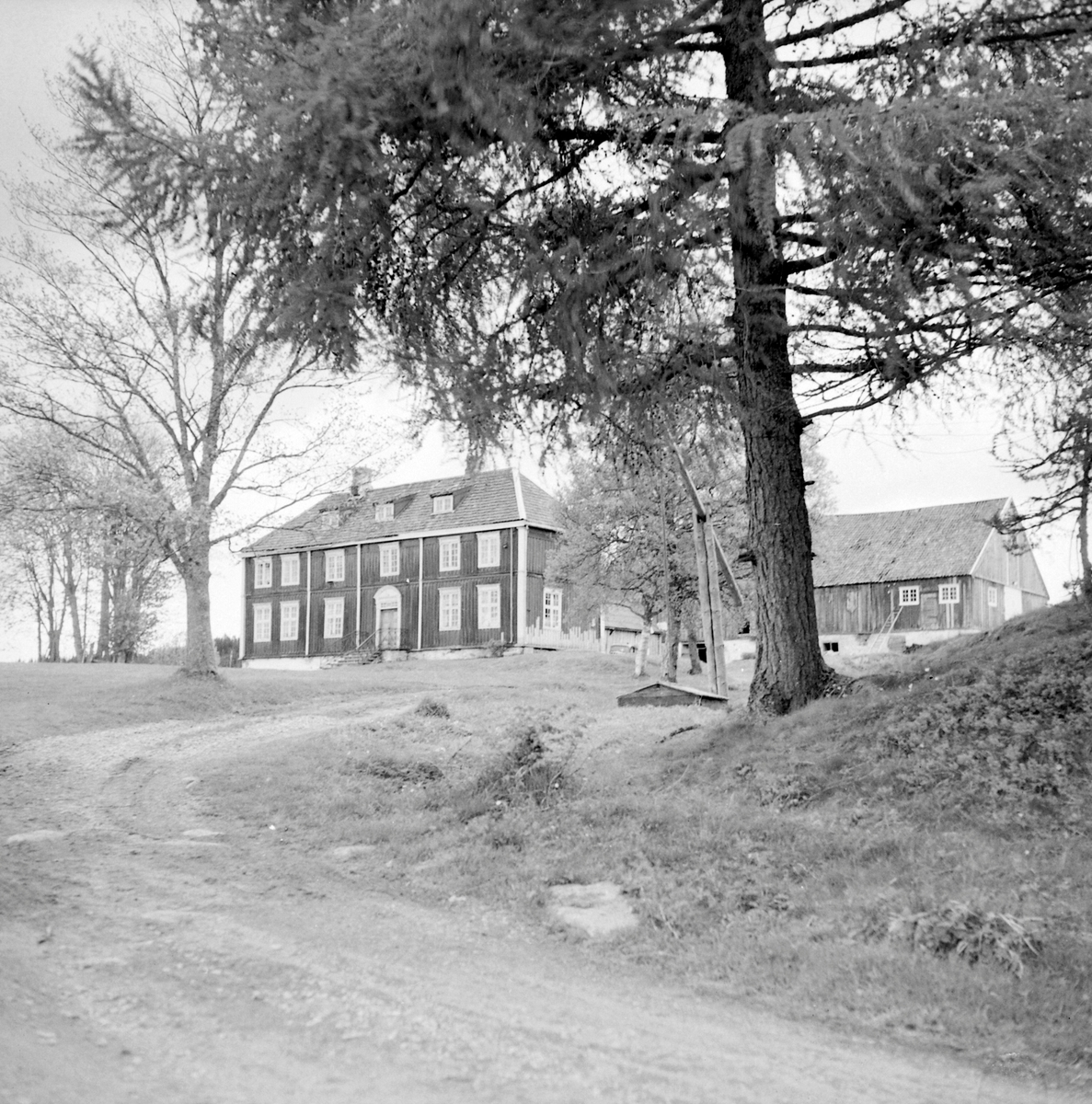 Golf på Sommersetra i Bymarka med Bill Spence