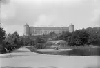 Svandammen och Uppsala slott, Uppsala 1886