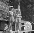 Furuvik

Furuviksparken invigdes pingstdagen 1936. Folkdanslaget Furuviks Ungdomslag och Barnkabarén blev Furuviksbarnen.

Två flickor sjunger