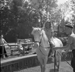 Furuvik

Furuviksparken invigdes pingstdagen 1936.
Folkdanslaget Furuviks Ungdomslag och Barnkabarén blev Furuviksbarnen.