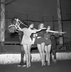 Furuviksparken invigdes pingstdagen 1936.

Cirkusbyggnaden Teater-Cirkus med cirka 600 platser, uppförd 1940.