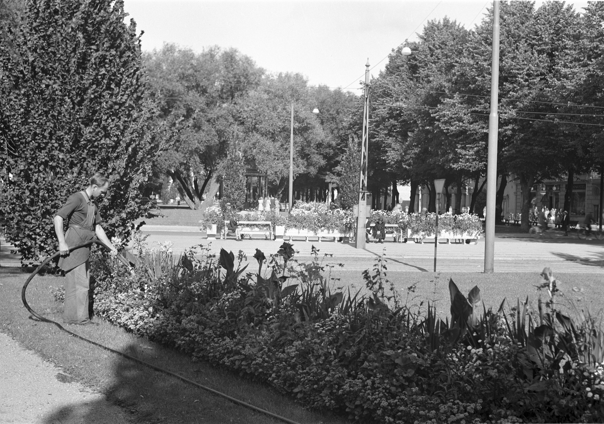 Gävle
Esplanaden

