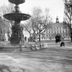 Vårbilder

1 maj 1938