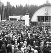 Furuviksparken invigdes 1936



Folkdanslaget Furuviks Ungdomslag och
Barnkabarén blev Furuviksbarnen