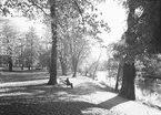 Gefle Posten
Stadsträdgården
för red. Olsson

September 1937