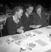 SDUK Facklan. Socialdemokraterna på Folkets Park. Maj 1948.