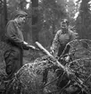 Konsum Alfa vedspillningsinsamling, cirka 1945.