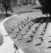 KFUM:s sommarhem Kvistrum på Norrlandet, Gävle. Juli 1945.  Kristliga Föreningen för Unga Män, KFUM bildades i Sverige 1884.