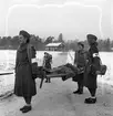 Från hemvärnsövningar. 17 november 1946.