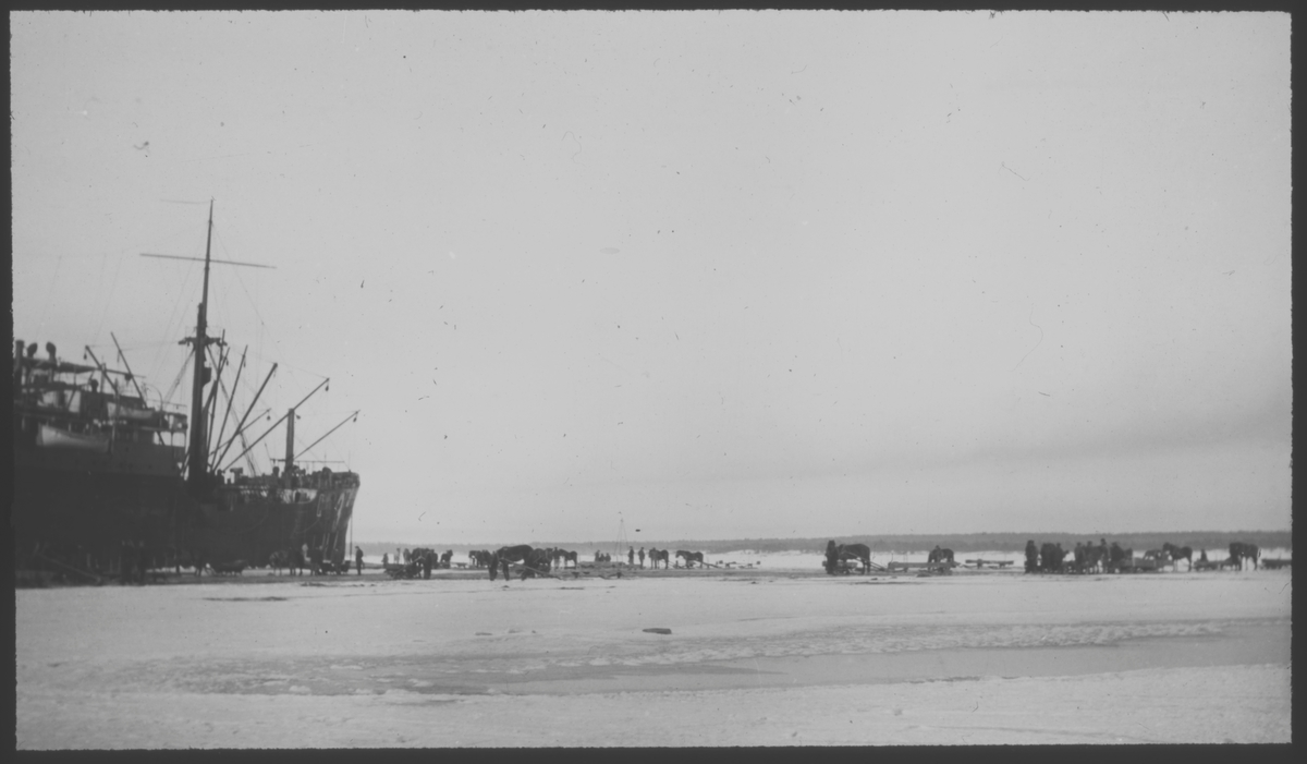 Tyskt transportfartyg i is vid Åland 1918. Hästforor forslar materiel över isen.