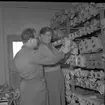 Skoglund & Olsson AB. Reportage för Gefle Daglad.    Den 19 mars 1953.