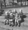 Rörbergsbarn i Stenebergsparken. 8 maj 1953.