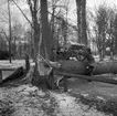 Storm över Gävle. 8 januari 1954.