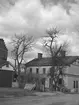 Popplar vid arbetsförmedlingen, 9 maj 1941.