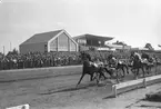 Travtävlingar. 14 juni 1953.
Landskamp Sverige - Norge. 22 augusti 1953.