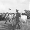 Utställningen 1946 vid Travbanan och Folkparken. Lantbruksmöte, Hushållningssällskapet