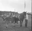 Hushållningssällskapet. Gävleutställningen sommaren 1946 vid Travbanan och Folkparken. Lantbruksmöte