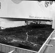 Utställning om länets skog på Gävleutställningen sommaren 1946 vid Travbanan med anledning av Gävle stads 500-årsjubileum