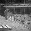 Simkurs, Kungsbäcks badet. År 1948. Kungliga Hälsinge Regement I 14 anlade 1944 ett friluftsbad med 50-metersbassäng, trampolin och bryggor i Valbobäcken. Badet användes in på 1960-talet.