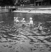 Simkurs, Kungsbäcks badet. År 1948. Kungliga Hälsinge Regement I 14 anlade 1944 ett friluftsbad med 50-metersbassäng, trampolin och bryggor i Valbobäcken. Badet användes in på 1960-talet.