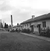 Bodås utanför Torsåker. 22 oktober 1948.