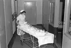 Lasarettet doktor Corallus, gynekolog. Baby med tre tummar, 26 oktober 1948.