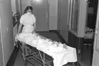 Lasarettet doktor Corallus, gynekolog. Baby med tre tummar, 26 oktober 1948.