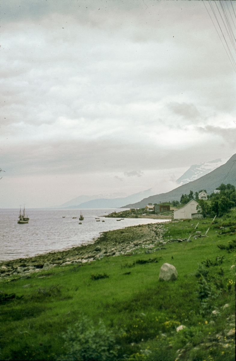 Bebyggelse og båter i Ulvik.