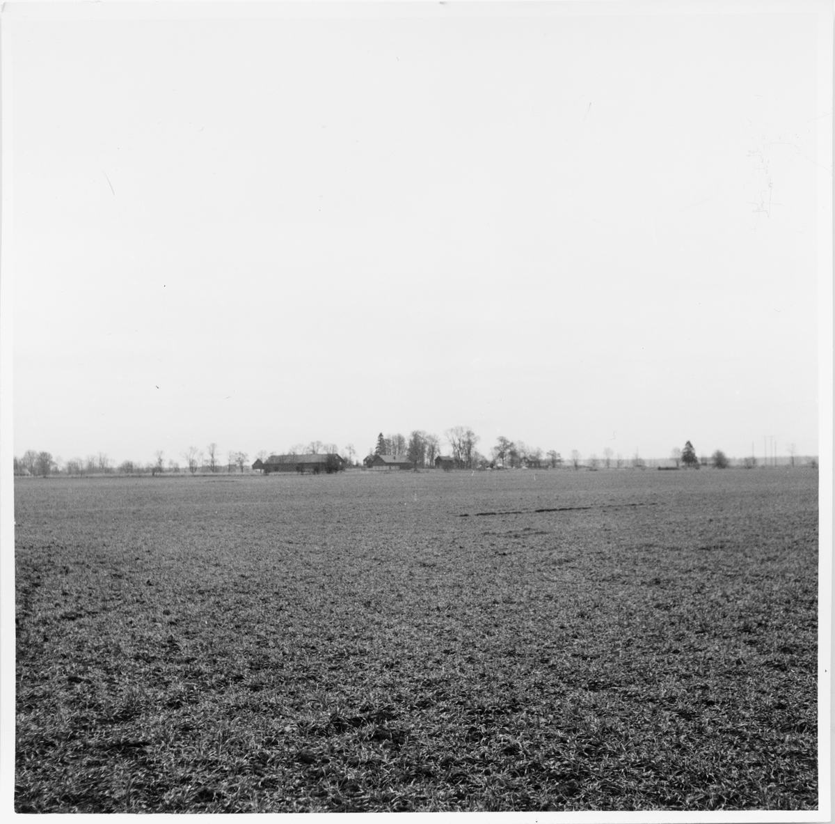 Husbyborg kyrkoruin, Husbyborgsområdet på avstånd, foto sannolikt från söder, Tierp socken, Uppland, 1971